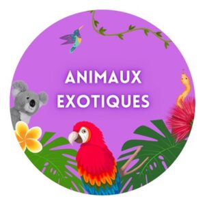 Peluches animaux exotiques